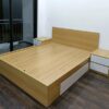 Giường ngủ 1m6 x 2m kèm tab đầu giường GN019