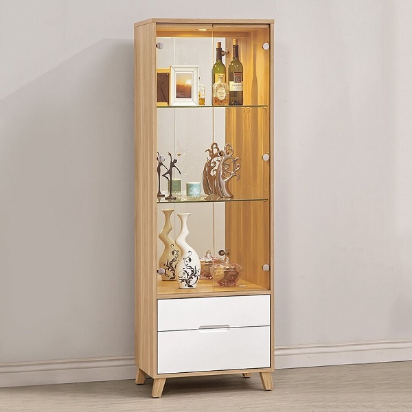 Tủ trưng bày 50cm x 1m6 TTB038